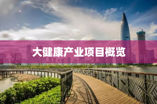 大健康產(chǎn)業(yè)項目概覽